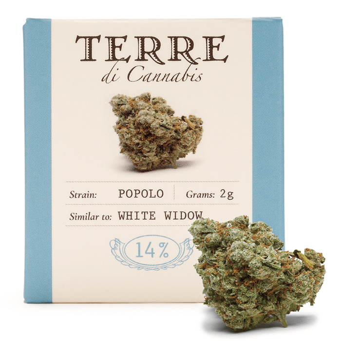 TERRE DI CANNABIS - POPOLO 2γρ, 14% CBD / ΜΗ-ΨΥΧΟΤΡΟΠΙΚΗ ΦΑΡΜΑΚΕΥΤΙΚΗ ΚΑΝΝΑΒΗ