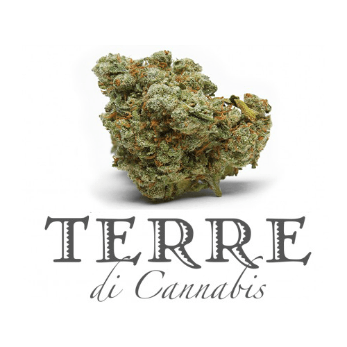 TERRE DI CANNABIS - POPOLO 2γρ, 14% CBD / ΜΗ-ΨΥΧΟΤΡΟΠΙΚΗ ΦΑΡΜΑΚΕΥΤΙΚΗ ΚΑΝΝΑΒΗ