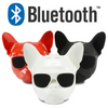 AEROBULL BLUETOOTH V4.1 10W