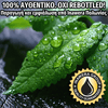 INAWERA - 10ML COOL MINT (ΔΡΟΣΕΡΗ ΜΕΝΤΑ) ΣΥΜΠΥΚΝΩΜΕΝΟ ΑΡΩΜΑ