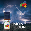 ELIQUID - 10ML - FLAVOURART ITALY - MONSOON ( ΣΚΟΥΡΟΣ ΠΙΚΑΝΤΙΚΟΣ ΚΑΠΝΟΣ, ΦΡΟΥΤΑ & ΒΑΝΙΛΙΑ ) 18mg