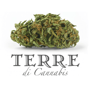 TERRE DI CANNABIS - VOLARE 2γρ, 18% CBD / ΜΗ-ΨΥΧΟΤΡΟΠΙΚΗ ΦΑΡΜΑΚΕΥΤΙΚΗ ΚΑΝΝΑΒΗ