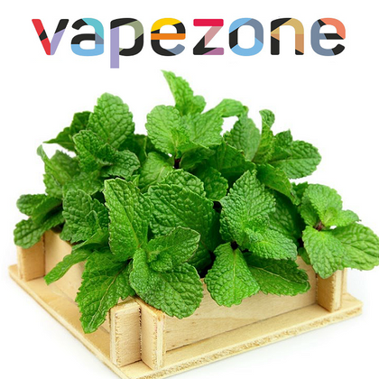 VAPEZONE - 30ML FRESH MINT 60% VG (ΦΡΕΣΚΙΑ ΜΕΝΤΑ)